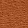 grained-leather_biscuit