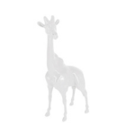 White Juliarte Giraffe